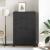 Dulap industrial de depozitare, negru, 75x40x115 cm, metal GartenMobel Dekor