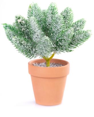 Decor de Craciun MagicHome cu crengute ninse in ghiveci, 20 cm