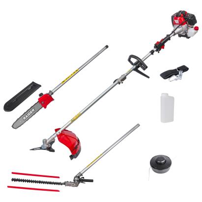 Motocoasa pe benzina 4 in 1 Raider RD-GBC25, 2.2 kW, tija detasabila