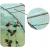 Sera solar tip tunel 8x3x2 m cu cadru galvanizat si 10 ferestre