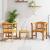 Set de lounge cu trandafir de grădină 3 pcs GartenMobel Dekor