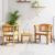 Set de lounge cu trandafir de grădină cu pernă 3 pcs GartenMobel Dekor