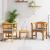 Set de lounge cu trandafir de grădină cu pernă 3 pcs GartenMobel Dekor