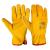 Mănuși Universale PG06 TMP