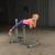 Banca de hiperextensii reglabila Body-Solid GRCH322 pentru fitness
