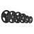 Disc greutate cauciucat HMS TOK 20 kg, gaura 51 mm, cu manere