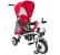 Tricicleta copii 10 in 1 Sportmann Egaleco, tip carucior, rosu