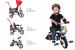 Tricicleta copii 10 in 1 Sportmann Egaleco, tip carucior, rosu
