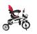 Tricicleta copii 10 in 1 Sportmann Egaleco, tip carucior, rosu