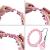 Cerc hula hoop cu greutate HMS HHW02, reglabil, 43 cm, negru