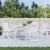 Perne de scaun, 4 buc., 40x40x7 cm, textil, model frunze GartenMobel Dekor