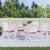 Perne de scaun, 4 buc., roz, 50x50x7 cm, textil oxford GartenMobel Dekor