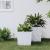 Jardinieră cu interior detașabil, alb, 21 / 32 L, PP ratan GartenMobel Dekor