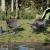 Scaune de camping cu buzunar, pliabile, 2 buc., gri GartenMobel Dekor
