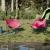 Scaune de camping cu buzunar, pliabile, 2 buc., roz GartenMobel Dekor