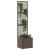 Suport pentru plante cu gard Maro 35 x 30 x 135 cm Metal GartenMobel Dekor