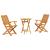 Set Bistro Pliabil 3 pcs Maro Lemn Solid de Acacia GartenMobel Dekor