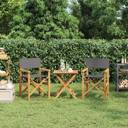 Scaune de regizor pliante, 2 buc., gri, lemn masiv de tec GartenMobel Dekor
