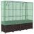 Strat înălțat cu husă de seră, aspect ratan, 160x40x153 cm GartenMobel Dekor