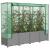 Strat înălțat cu husă de seră, aspect ratan, 160x40x138 cm GartenMobel Dekor