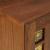 Cabinet TV cu ușă castan 105 x 33 x 46 cm Lemn de mango solid GartenMobel Dekor