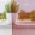 Perdele Voile cu buzunare pentru bare 2 buc Roșu Vin GartenMobel Dekor