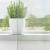 Perdele Voile cu Bucle 2 buc Gri deschis 140x175 cm GartenMobel Dekor