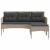 Set de canapele pentru grădină cu pernă 2 pcs poliratan GartenMobel Dekor