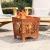 Trepte Dreptunghiular 2 pcs Argintiu 70 x 50 cm Aluminiu GartenMobel Dekor