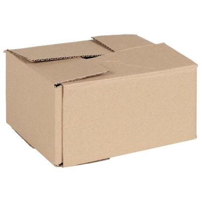 Cutie Pliabilă 50 pcs natural 20 x 15 x 10 cm Carton GartenMobel Dekor