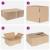 Cutie Pliabilă 50 pcs natural 25 x 17,5 x 10 cm Carton GartenMobel Dekor