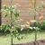 Sprijin pentru plante 5 pcs Verde 170 x 0,6 x 0,6 cm Oțel GartenMobel Dekor