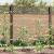Sprijin pentru plante 50 pcs Verde 110 x 0.6 x 0.6 cm Oțel GartenMobel Dekor
