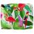 Pernă Floral Multicolour 50 x 40 x 12 cm Material Oxford GartenMobel Dekor
