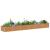 Strat înălțat de grădină Maro deschis 480 x 80 x 45 cm GartenMobel Dekor