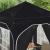 Cort de Petrecere Pop-up 192 x 192 x 245 cm Antracit GartenMobel Dekor