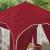 Cort de Petrecere Pop-up 192 x 192 x 245 cm Burgundy GartenMobel Dekor