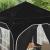 Cort de Petrecere Pop-up 192 x 192 x 245 cm Negru GartenMobel Dekor