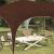 Cort de Petrecere Pop-up Maro 575 x 288 x 245 cm GartenMobel Dekor