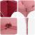 Cort de Petrecere Pop-up Burgundy 575 x 288 x 245 cm GartenMobel Dekor