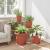 Ghiveci rotund pentru flori 24 pcs Roșu cărămidă Ø 39 x 32 cm GartenMobel Dekor