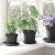 Tavă rotundă pentru flori 6 pcs Negru Ø 14 x 2 cm Plastic GartenMobel Dekor