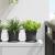 Tavă rotundă pentru flori 6 pcs Negru Ø 14 x 2 cm Plastic GartenMobel Dekor