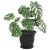 Tavă rotundă pentru flori 6 pcs Negru Ø 14 x 2 cm Plastic GartenMobel Dekor