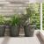 Tavă rotundă pentru flori 6 pcs Negru Ø 14 x 2 cm Plastic GartenMobel Dekor