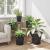 Tavă rotundă pentru flori 6 pcs Negru Ø 14 x 2 cm Plastic GartenMobel Dekor