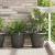 Tavă rotundă pentru flori 24 pcs Negru Ø 27 x 2,5 cm Plastic GartenMobel Dekor