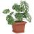 Tavă Pătrată pentru Flori 6 pcs Roșu cărămidă 15 x 15 x 2 cm GartenMobel Dekor