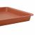 Tavă Pătrată pentru Flori 6 pcs Roșu cărămidă 21 x 21 x 2 cm GartenMobel Dekor