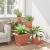 Tavă Pătrată pentru Flori 6 pcs Roșu cărămidă 32 x 32 x 2,5 cm GartenMobel Dekor